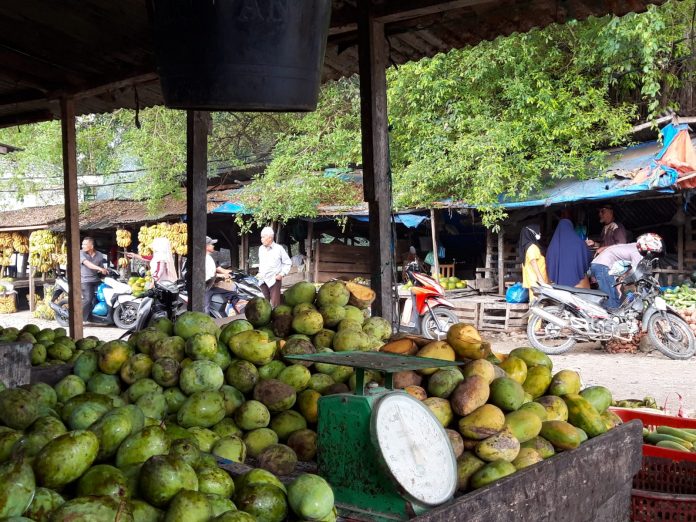 Gang Pisang Matangglumpangdua, Bireuen, Aceh, dipotret pada Rabu (4/5/2022). Foto: Komparatif.id/Muhajir Juli.