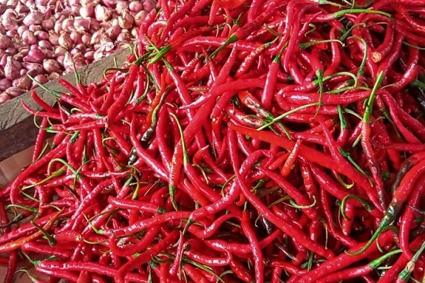 cabai merah Harga cabai merah di Aceh naik 6.0 persen, dibanding minggu lalu. Foto ilustrasi dikutip dari Kompas.com/Annisa Ramadani Siregar.