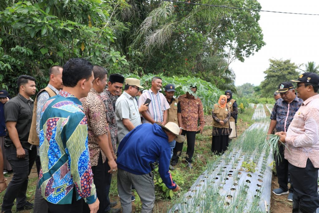 Pj Bupati Aceh Utara pantau ketersedian bawang di Sawang, Kamis (15/9/2022). Foto: Ist.