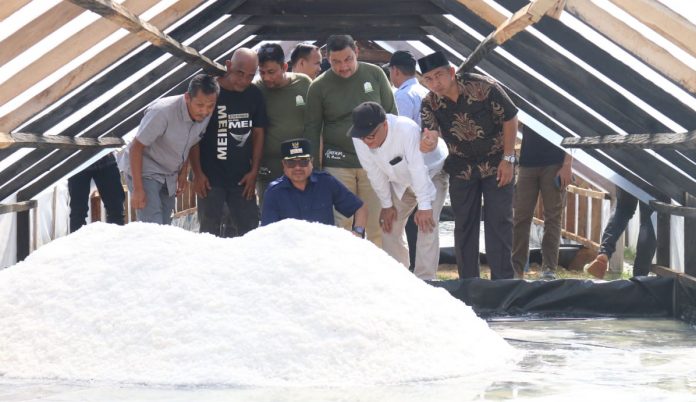 Pj Bupati Aceh Utara Azwardi Abdullah melihat proses produksi garam di Bantayan, Sabtu (17/9/2022). Foto: Komparatif.ID/Fuad Saputra.