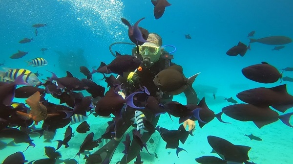 Pulau Rubiah menyimpan sejuta pesona. Taman bawah lautnya sangat molek. Untuk mendapatkan pengalaman paling menarik, sekaligus dapat menikmati secara “paripurna” keindahan “aquarium raksasa” antara Iboih dan Rubiah, kita harus menyelam (diving), tak cukup sekadar snorkeling. Foto: Doc. Rahmad Abdul Wahab.