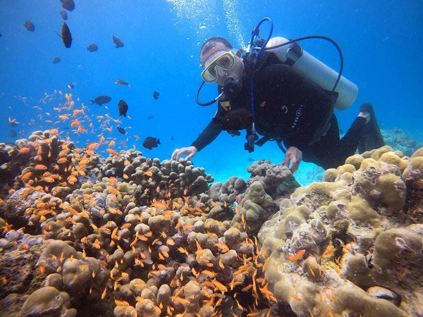 Pulau Rubiah menyimpan sejuta pesona. Taman bawah lautnya sangat molek. Untuk mendapatkan pengalaman paling menarik, sekaligus dapat menikmati secara “paripurna” keindahan “aquarium raksasa” antara Iboih dan Rubiah, kita harus menyelam (diving), tak cukup sekadar snorkeling. Foto: Doc. Rahmad Abdul Wahab. 