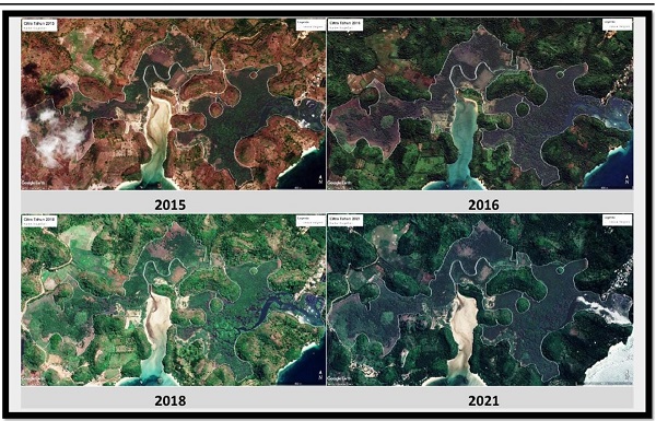 Kondisi Hutan Lindung Apusan di kawasan Sendangbiru. Degradasi terparah pada tahun 2015, berhasil dipulihkan kembali oleh Saptoyo dan teman-temannya di Yayasan Bhakti Alam. Foto: Dokumen YBA.