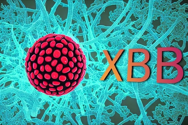 Xbb Subvarian Omicron XBB. Foto dikutip dari Kompas.com.
