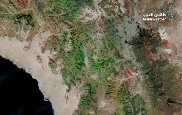 Ruang hijau di Madinah berupa padang rumput dan vegetasi lainnya, yang muncul setelah terjadinya hujan deras secara berulang selama Desember 2022. Foto: Citar Satelit NASA yang dipublish oleh Arab Weather.