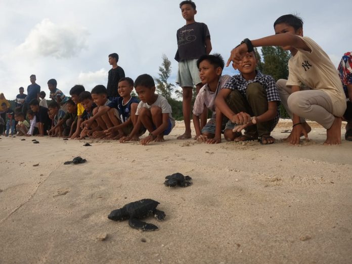 Sejumlah anak-anak gembira melihat pelepasan tukik ke laut di Pantai Lambaro. Foto: Komparatif.ID/Muhajir Juli.
