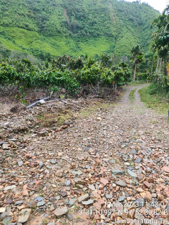 ca218020-d833-4d2c-a1a2-d1bf093e94d8 WALHI Aceh minta pembangunan jalan Kutacane-Langkat dihentikan karena memicu illegal logging dan terganggunya habitat satwa. Foto: WALHI Aceh.