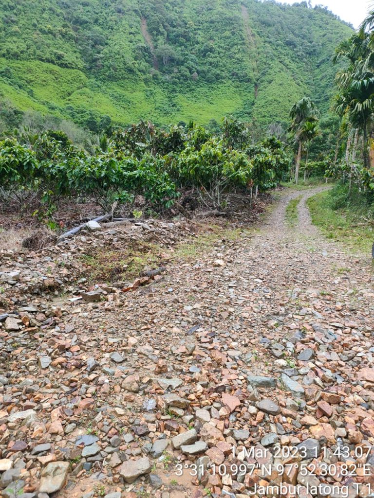 WALHI Aceh minta pembangunan jalan Kutacane-Langkat dihentikan karena memicu illegal logging dan terganggunya habitat satwa. Foto: WALHI Aceh.