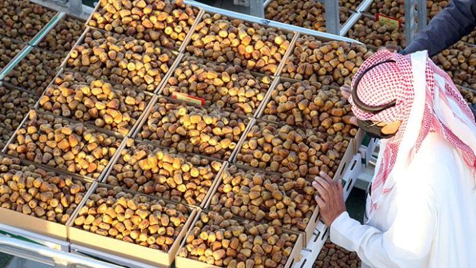 kurma Pilihan makanan yang dianjurkan untuk menu berbuka puasa. Foto: Tempo.
