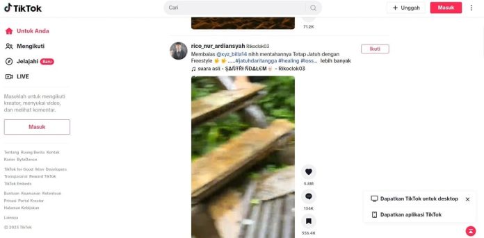 TikTok. Foto: Screenshot.