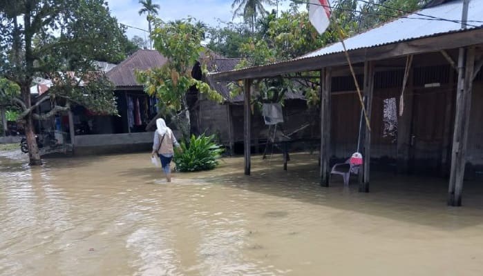 7.313 Jiwa Terkena Dampak Banjir Di Aceh Tenggara - Komparatif.ID