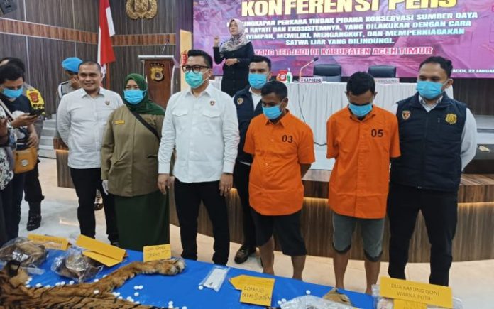 Kulit Harimau Aceh Ditadah di Medan Diburu Jaringan Profesional Dirreskrimsus Polda Aceh Kombes Winardy (baju putih) didampingi Pengendali Ekosistem Hutan BKSDA Aceh saat memperlihatkan barang bukti kulit harimau Sumatera di Mapolda Aceh, Senin (22/1/2024). Foto: Komparatif.ID/Fuad Saputra.