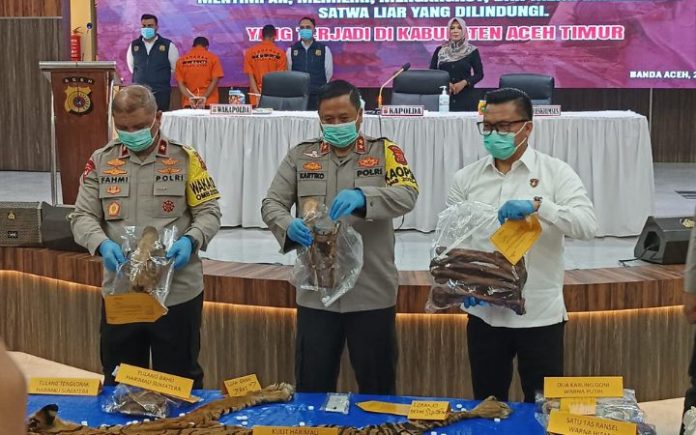 Kapolda Aceh Irjen Pol Achmad Kartiko (tengah) bersama Wakapolda Brigjen Pol Armia Fahmi (kiri) dan Dirreskrimsus Kombes Winardy memperlihatkan barang bukti tulang belulang harimau Sumatera, Senin (22/1/2024). Foto: Komparatif.ID/Fuad Saputra.