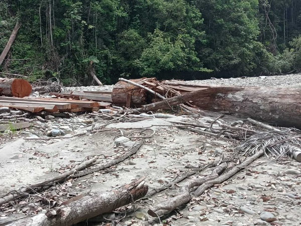 ilegal-logging (1) Hutan lindung babahrot, pembalakan liar terbuka