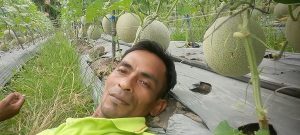 guru agama melon
