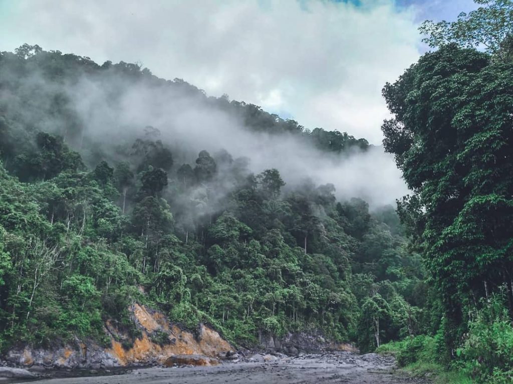 madu liar ulu masen