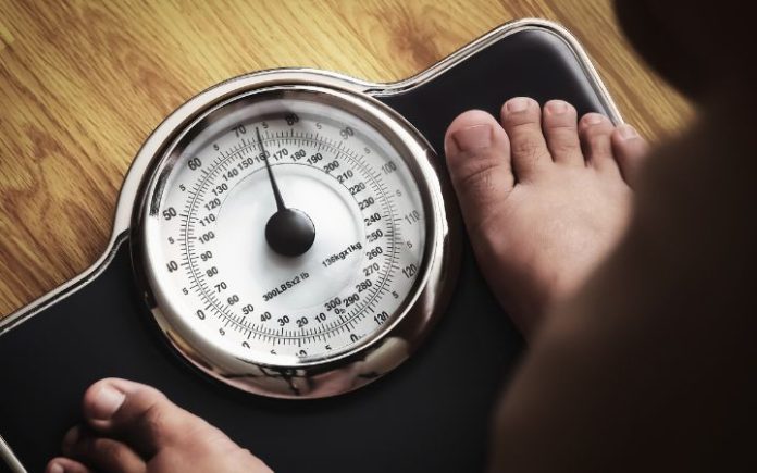 Perusahaan Ini Beri Bonus untuk Karyawan Turunkan Berat Badan Ilustrasi: Komparatif.ID.