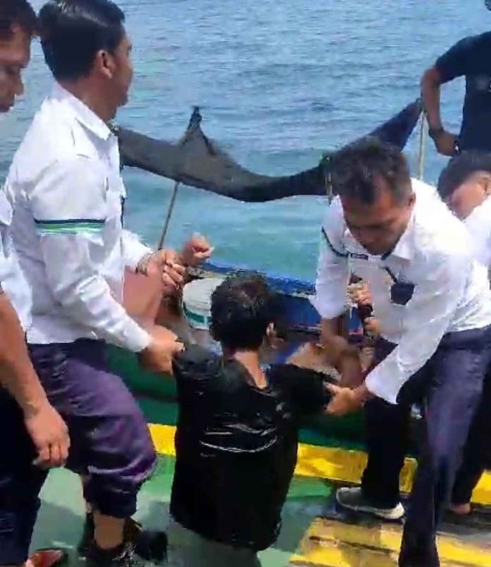 1000447118_11zon Mobile legend