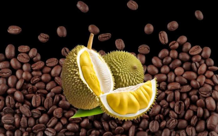 Durian Bikin Harga Kopi Dunia Jadi Lebih Mahal Ilustrasi. Foto: Komparatif.ID.