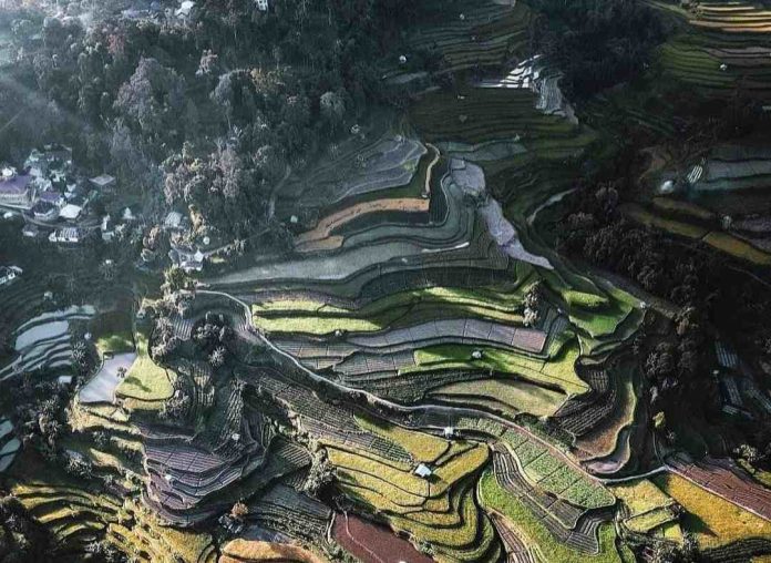 1000692554_11zon Nagari Pariangan, Tanah Datar, Sumatra Barat, merupakan negeri terindah di dunia. Foto: Adek.