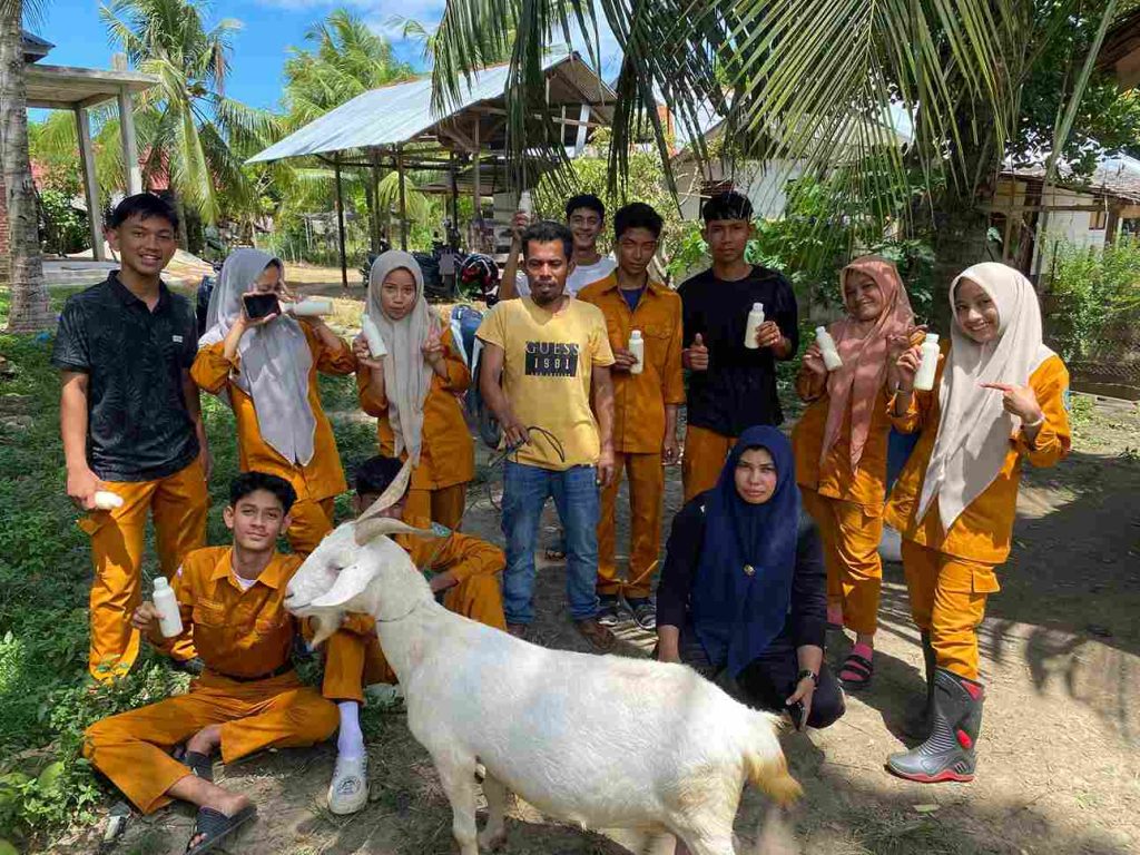 Mahlil kambing sapera