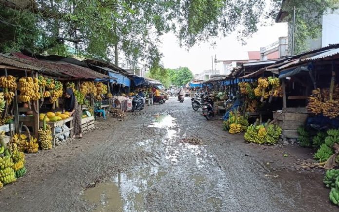 Jalan Pisang Antara Lorong Pisang & Sago Kampus Almuslim Kondisi Lorong Pisang yang terletak di kawasan pasar Matangglumpangdua, tidak jauh dari Kampus Induk Universitas Almuslim. Foto: Komparatif.ID/Muhajir Juli.