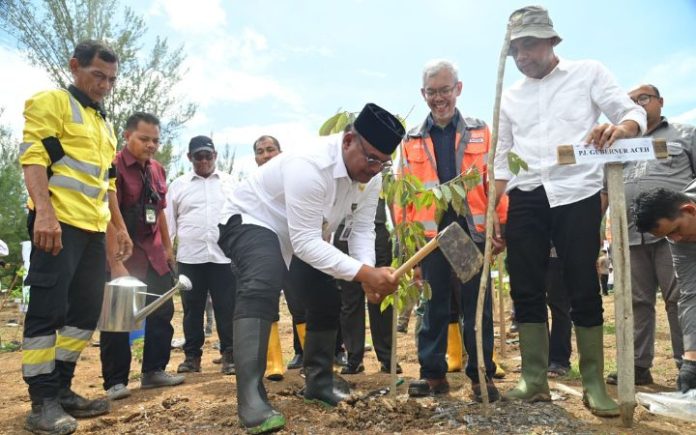Peringati Quarry Day 2024, SBA Reklamasi Area Bekas Tambang Pj Gubernur Aceh, Safrizal ZA, saat menanam pohon di area bekas tambang pada puncak peringatan Quarry Day 2024 yang digelar PT Solusi Bangun Andalas (SBA), Rabu (18/12/2024). Foto: HO for Komparatif.ID.