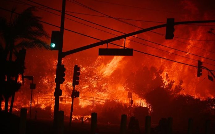 Kebakaran Los Angeles Anggaran Damkar Dipangkas Rp287 M Sebelum Kebakaran Hebat di Los Angeles