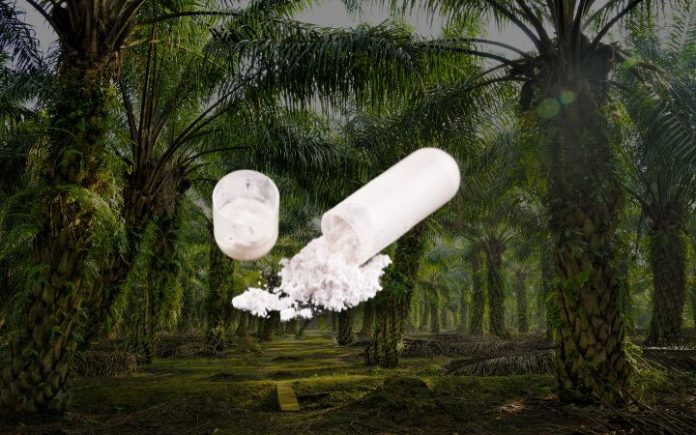 Sabu di Kebun sawit Peubloe Sabè Lam Lampôh Sawét, 2 Droe Awak Nisam Jibeureukah Polisi
