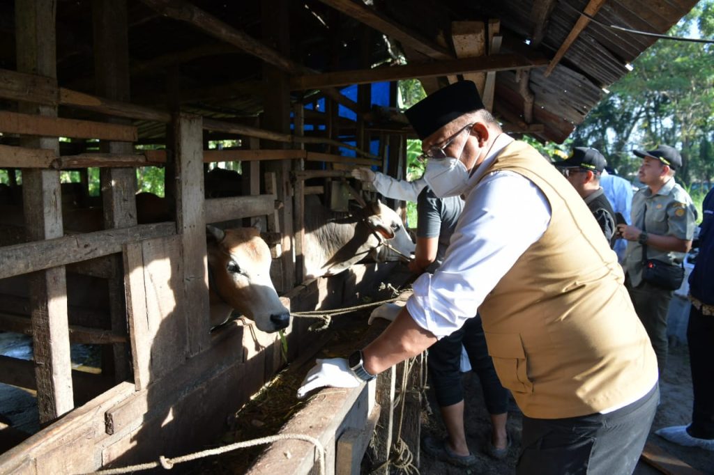 Pj Gubernur Aceh Safrizal ZA saat meninjau vaksinasi ternak di kandang sapi warga di Gampong Emperom, Kecamatan Jaya Baru, Banda Aceh, pada Kamis (9/1/2024). Foto: Ho for Komparatif.ID. Peternak Aceh Diminta Waspadai PMK