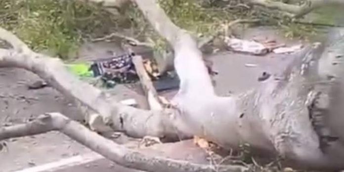 2 Jemaah Salat Id di Pemalang Meninggal Tertimpa Pohon