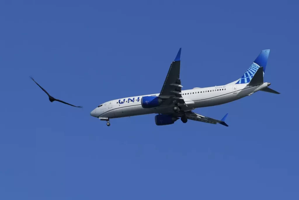 united airlines