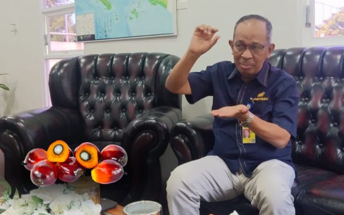 Kanwil Bea Cukai Aceh Ekspor CPO Lewat Sumut, Aceh Kehilangan Rp372 M/Tahun