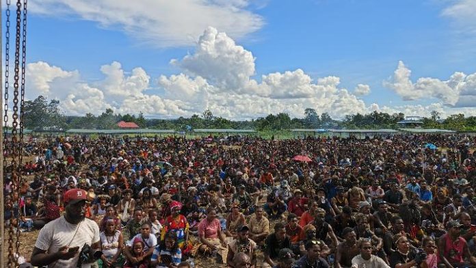 400 ekor babi papua pegunungan