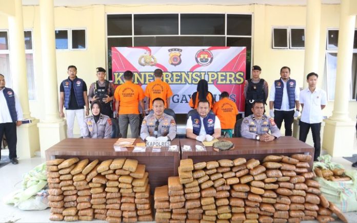 Januari–Mei: Polres Gayo Lues Ungkap 12 Kasus, Amankan Setengah Ton Ganja