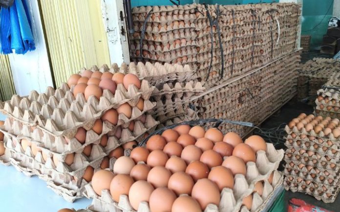 Harga telur Banda Aceh Pasokan dari Medan Melimpah, Harga Telur di Banda Aceh Turun