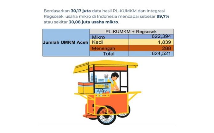 Jumlah UMKM di Aceh Capai 624.521 Unit, Mengapa Ekonomi Aceh Stagnan?