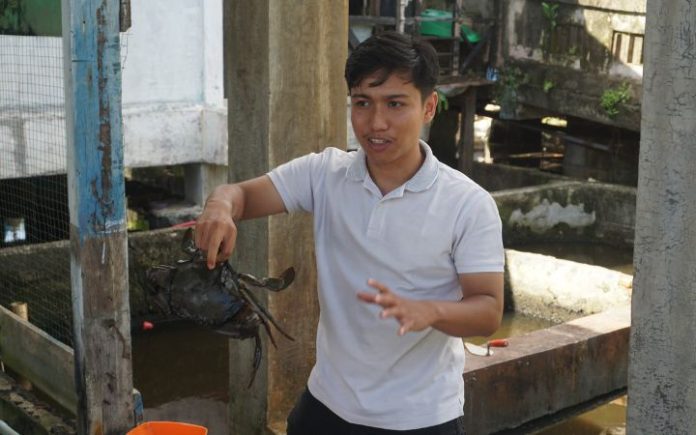 Investor Malaysia & Vietnam Lirik Produk Udang Aceh Barat
