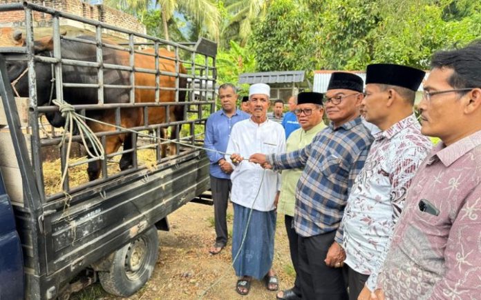 PPP Salurkan Hewan Kurban ke Aceh Selatan, Nagan Raya, Bireuen, & Banda Aceh
