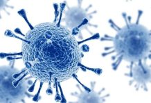 Sebaran Pengidap HIV di 23 Kabupaten Kota di Aceh sebaran pengidap hiv di aceh