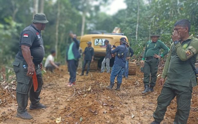 Tim Gakkum DLHK Tangkap Operator Eskavator Perambah Hutan Peudada