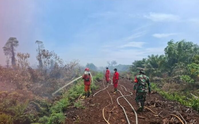 Manggala Agni Karhutla Aceh Selatan Kerahkan Manggala Agni, Pemadaman Karhutla Aceh Selatan Dikebut Cegah Api Meluas ke TNGL