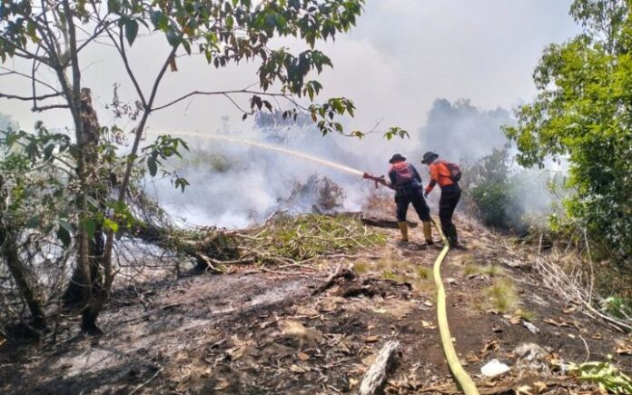 bencana alam Aceh Aceh Alami 237 Bencana Alam pada Januari-Juli, Kerugian Capai Rp165 M