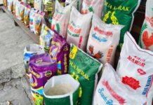 Pemkab Bireuen Gelar Pasar Murah Jelang Iduladha di 11 Lokasi, Ini Jadwalnya Mengurai Benang Kusut di Balik Gejolak Harga Beras Aceh Bulog Aceh Salurkan 3.332 Ton Beras SPHP Pemkab Bireuen Gelar Pasar Murah Jelang Iduladha di 11 Lokasi, Ini Jadwalnya