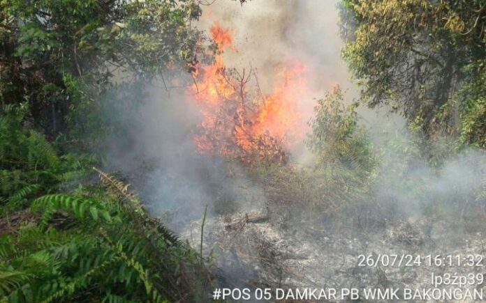 karhutla Aceh Selatan Terkendala Sumber Air, Karhutla di Aceh Selatan Terus Meluas