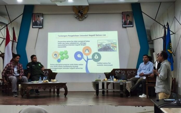 konflik gajah-manusia di Aceh BKSDA: Konflik Gajah-Manusia di Aceh Meningkat Pascadamai