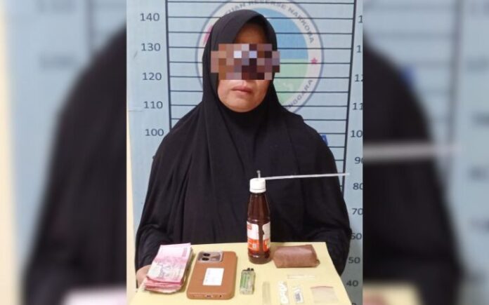 Polisi Tangkap Perempuan Paruh Baya Pengedar Sabu di Aceh Tenggara