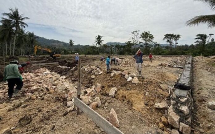 penggemukan sapi trans continent Ismail Rasyid Mulai Bangun Pusat Penggemukan Sapi di Gorontalo