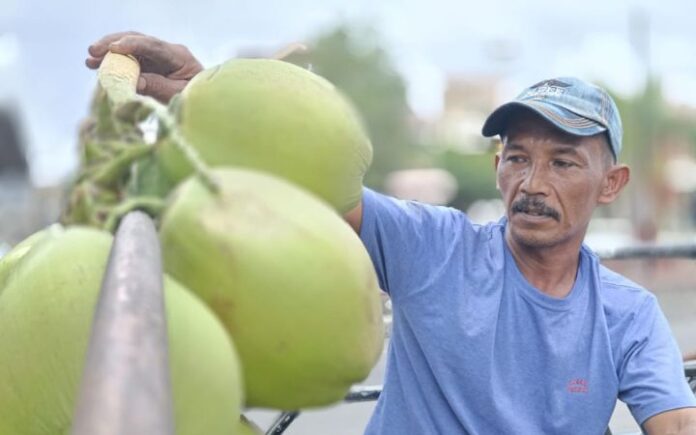 Dari Kelapa Muda Tahjud Mengumpulkan Lembaran Rupiah untuk Keluarga