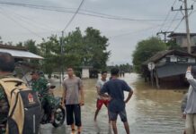 Akses Jalan Masih Lumpuh, Sejumlah Kecamatan di Aceh Utara Terisolir Akses Jalan Masih Lumpuh, Sejumlah Kecamatan di Aceh Utara Terisolir